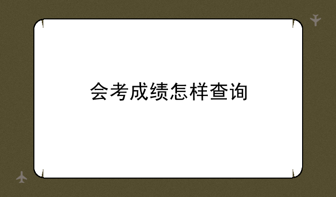 会考成绩怎样查询