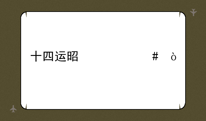 十四运是什么？