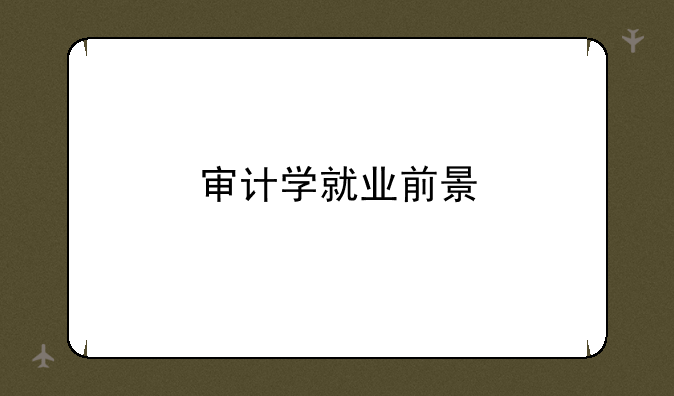 审计学就业前景