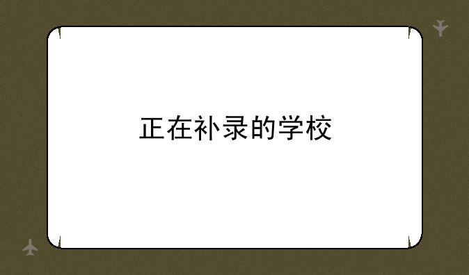 正在补录的学校