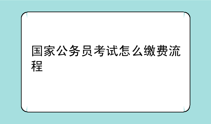 国家公务员考试怎么缴费流程