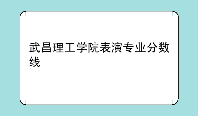 武昌理工学院表演专业分数线