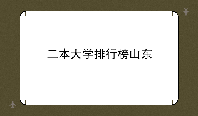 二本大学排行榜山东