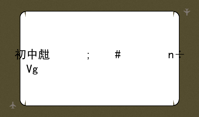 初中生怎么出国留学