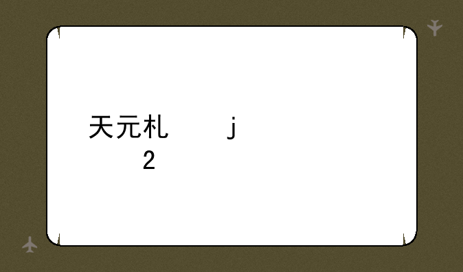 天元术的主要贡献者