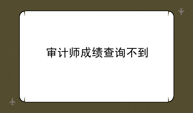 审计师成绩查询不到