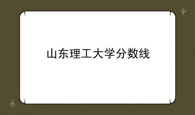 山东理工大学分数线
