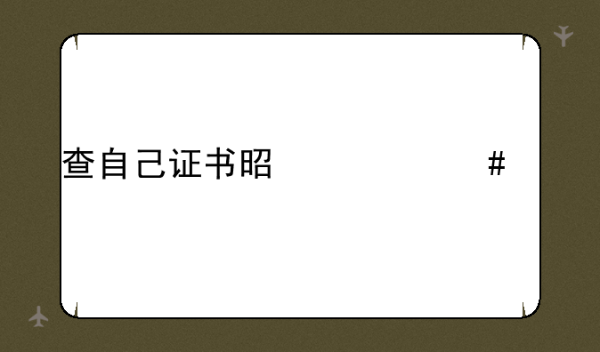 查自己证书是什么网