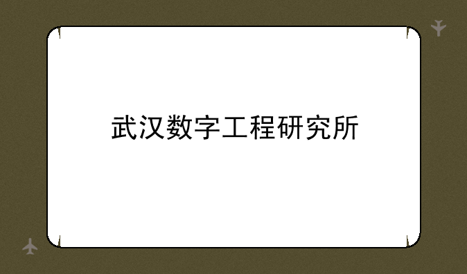 武汉数字工程研究所