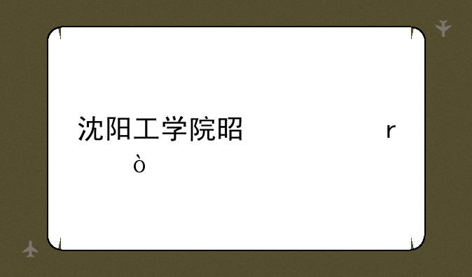 沈阳工学院是几本？