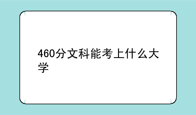460分文科能考上什么大学