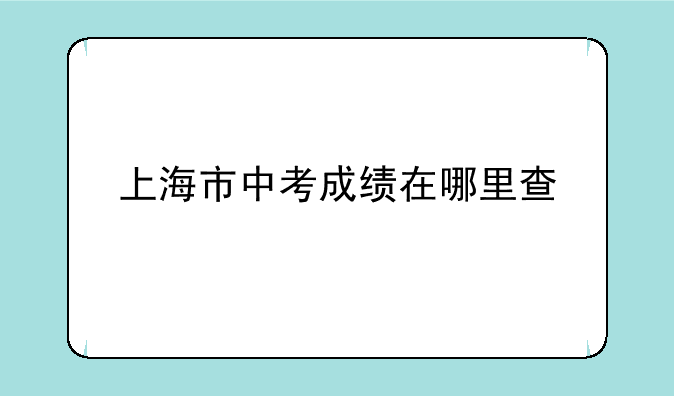 上海市中考成绩在哪里查