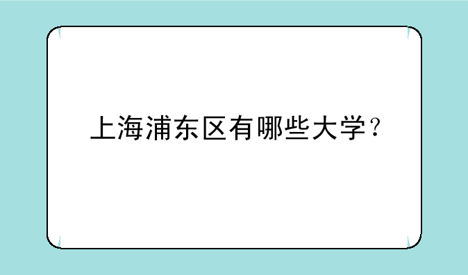 上海浦东区有哪些大学？
