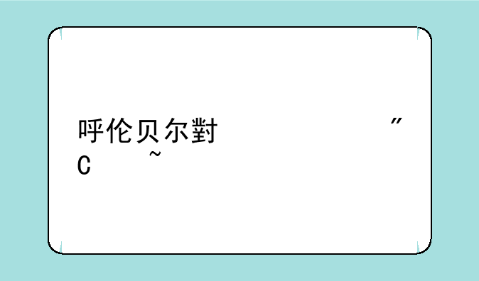 呼伦贝尔小中考成绩查询