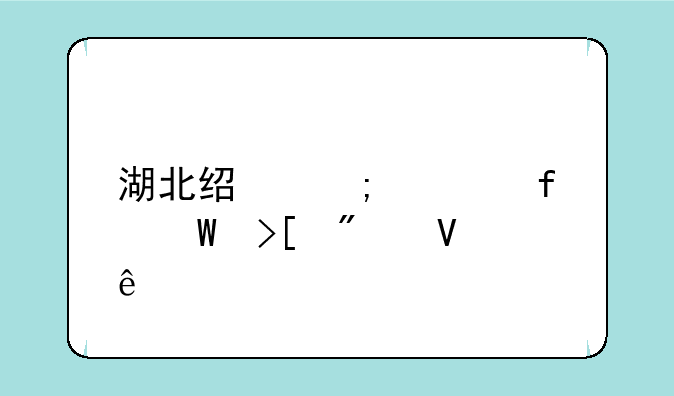 湖北经济学院录取分数线
