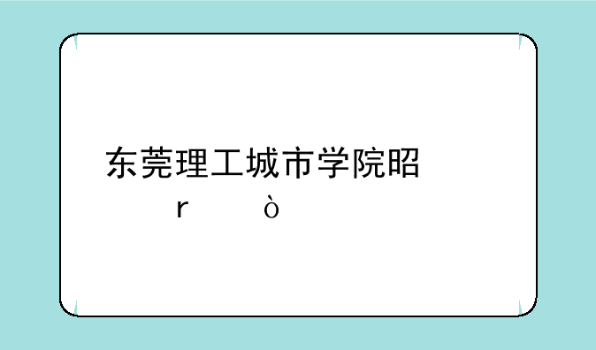东莞理工城市学院是几本？