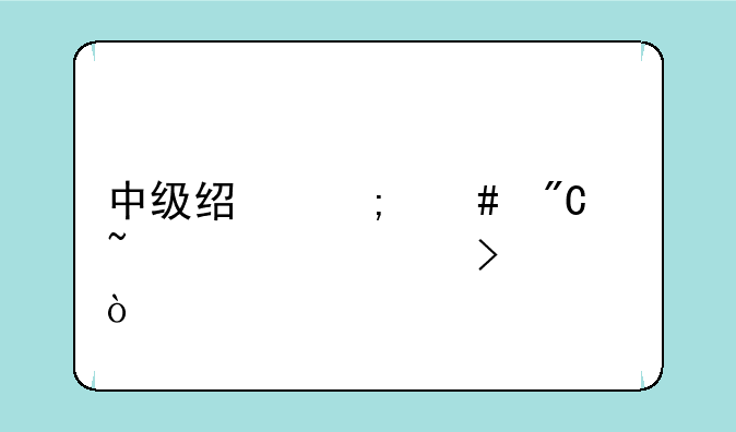 中级经济师成绩查询入口？