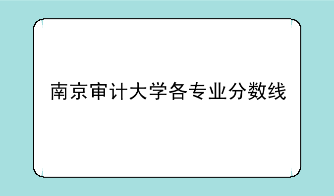 南京审计大学各专业分数线