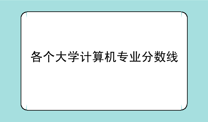 各个大学计算机专业分数线