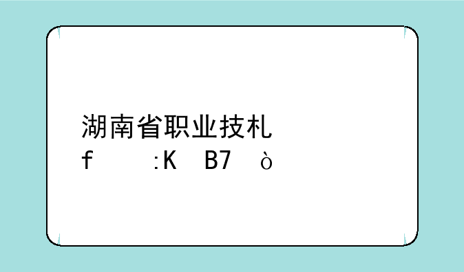 湖南省职业技术学院排名？