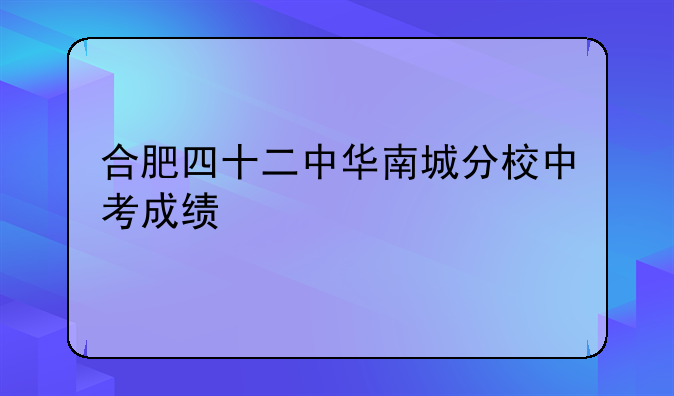 合肥四十二中华南城分校中考成绩