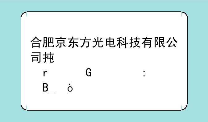 合肥京东方光电科技有限公司承认自考本科学历吗？