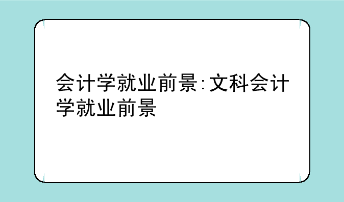 会计学就业前景:文科会计学就业前景