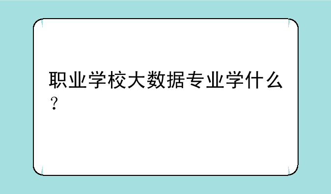 职业学校大数据专业学什么？